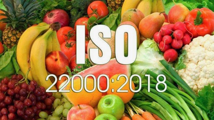 ISO 22000 Belgesi Nasıl Alınır? - Adım Adım Kılavuz