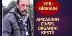 Amcasının cinsel organını kesti!  O sana misafir olarak geldi...