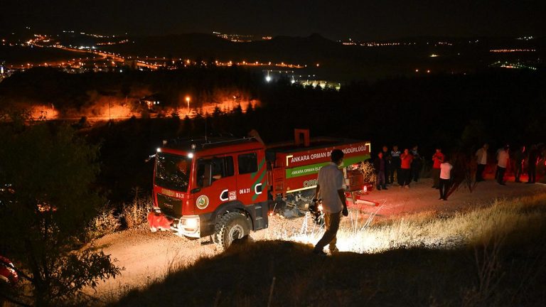 Havai fişek yangına neden oldu