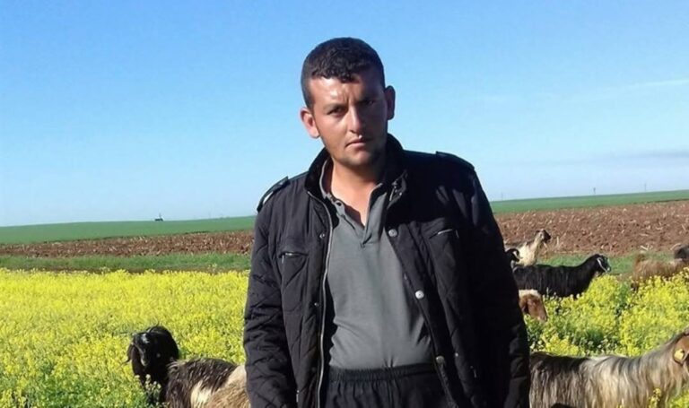 27 -Er -Lold Genç Hayvan Hayatını Otlatıyordu -Türkiye Haberlerinin Son Dakika Leggi