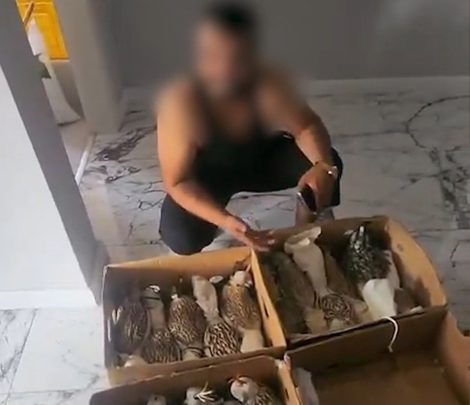 Sosyal medyada gündemdeydiler: Silivri'deki kuşlar grubuna baskın! - 2